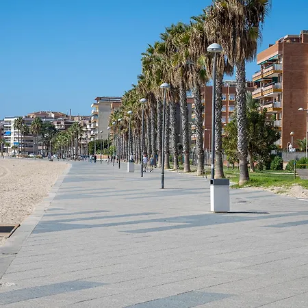 At049 Els Pins, Primera Linea De La Playa Con Piscina Y Barbacoa Apartment Torredembarra